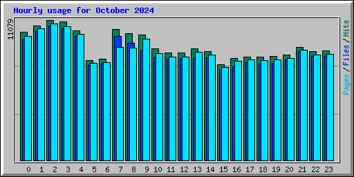 Hourly usage for October 2024