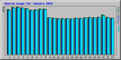 Hourly usage for January 2025