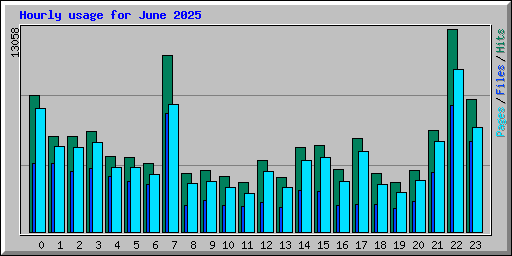 Hourly usage for June 2025