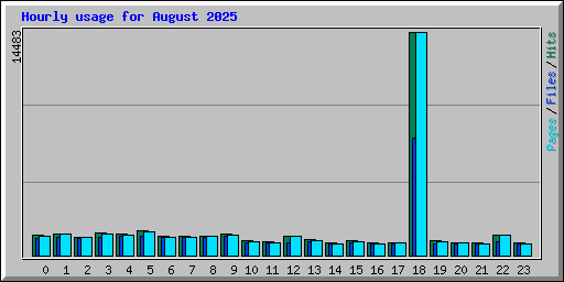 Hourly usage for August 2025