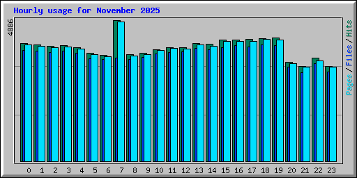 Hourly usage for November 2025