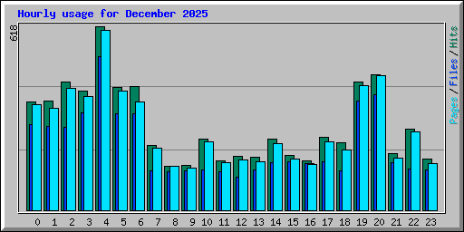 Hourly usage for December 2025