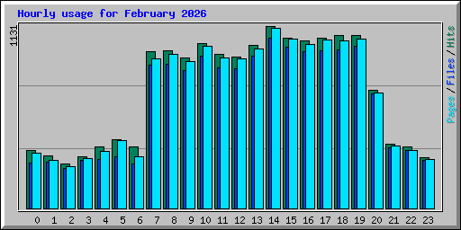 Hourly usage for February 2026
